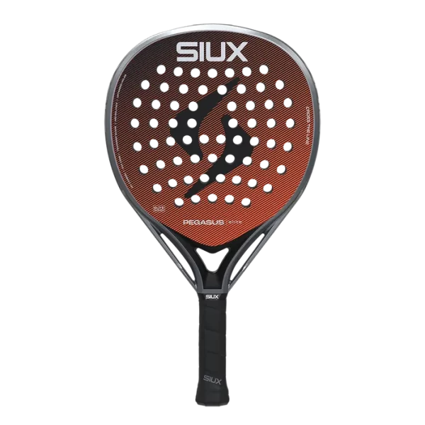 SIUX PEGASUS ELITE 6